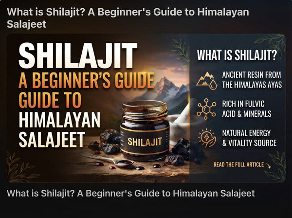 What is Shilajit? A Beginner's Guide to Himalayan Salajeet